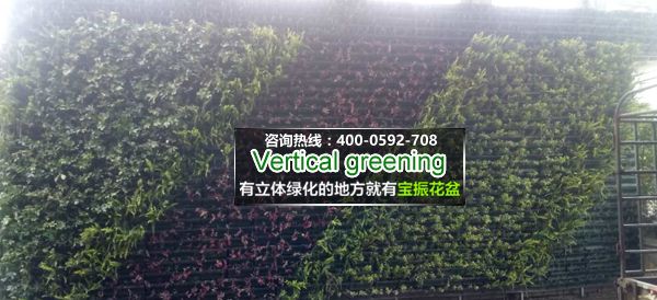 福州光明港公园垂直绿化墙面