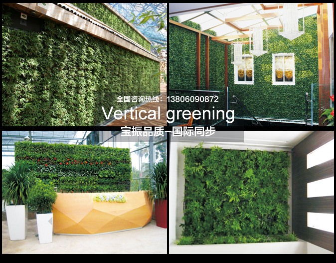 选择垂直绿化植物墙时要注意温度变化对植物的影响