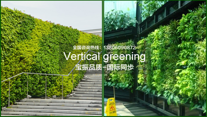 按墙面绿化不同方式垂直绿化植物墙可分为这些类型